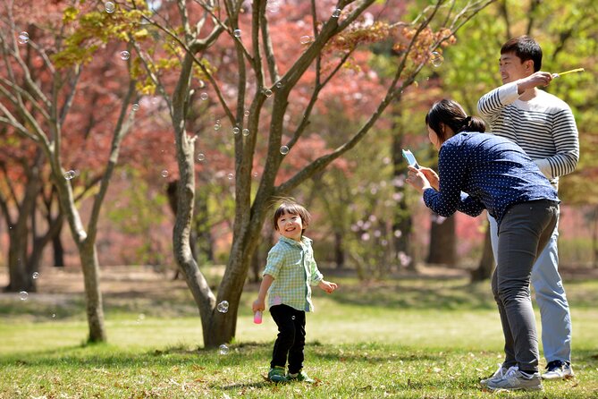 Mount Seorak and Nami Island One Day Tour from Seoul - Weather changes the experience