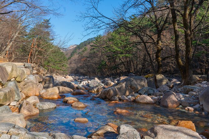 Mount Seorak and Nami Island One Day Tour from Seoul - Who should book this day trip