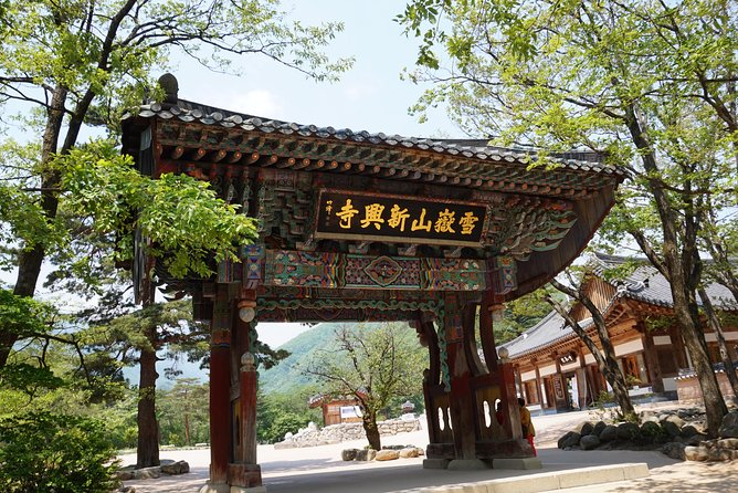 Mount Seorak and Nami Island One Day Tour from Seoul - Nami Island: easy paths, trees, and staged charm