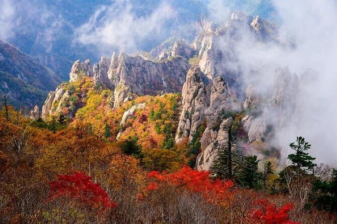 Mt.Seorak & Naksan Temple Day Trip from Seoul - Naksan Beach: a calm final walk by the water