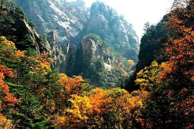 Mt.Seorak & Naksan Temple Day Trip from Seoul - How the guide and vehicle affect the experience