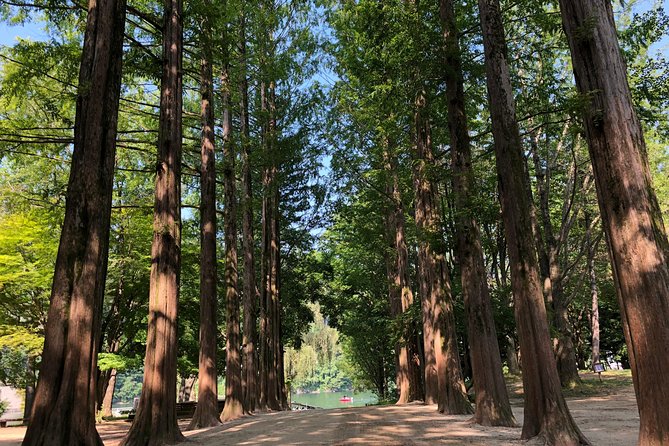 Mt. Seorak+Nami Island+Garden of Morning Calm Day Trip from Seoul - The Garden of Morning Calm after the island