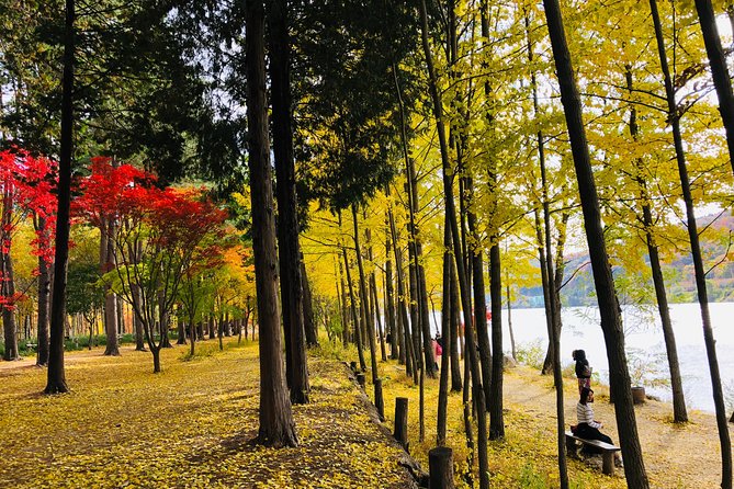 Mt. Seorak+Nami Island+Garden of Morning Calm Day Trip from Seoul - The real cost of a $95.18 ticket