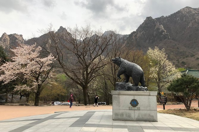 Mt. Seorak+Nami Island+Garden of Morning Calm Day Trip from Seoul - What the guides add to a long day