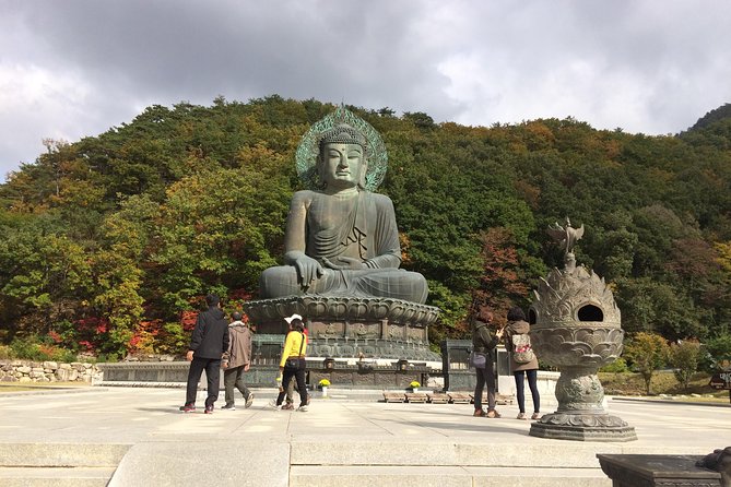 Mt. Seorak+Nami Island+Garden of Morning Calm Day Trip from Seoul - Who should book this experience