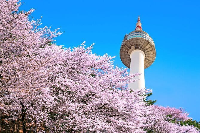 N Seoul Tower Observatory Ticket South Korea - Key points to know before you book