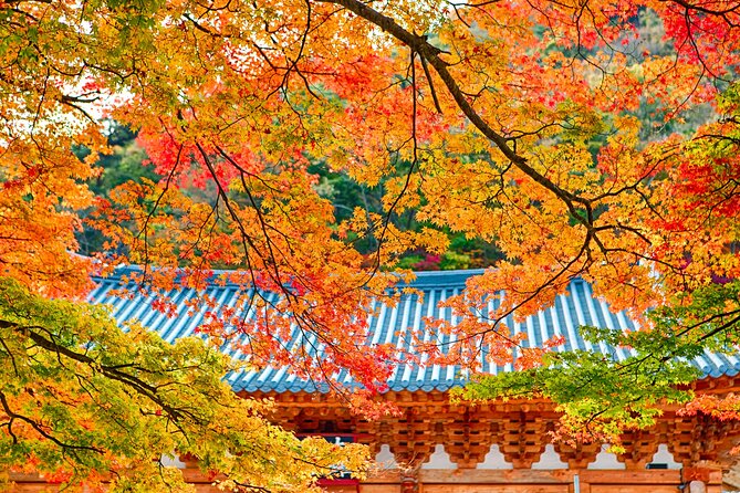 Naejangsan National Park Autumn Foliage One Day Tour from Busan - Key points at a glance