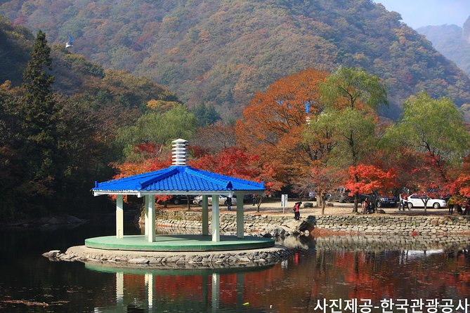 Naejangsan National Park Autumn Foliage One Day Tour from Busan - Why Naejangsan is worth the long ride from Busan
