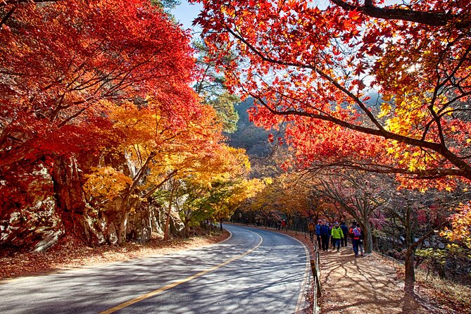 Naejangsan National Park Autumn Foliage One Day Tour from Busan - Walking the red, orange, and yellow paths