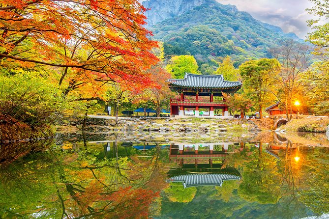 Naejangsan National Park Autumn Foliage One Day Tour from Busan - Lunch, photographs, and making five hours count