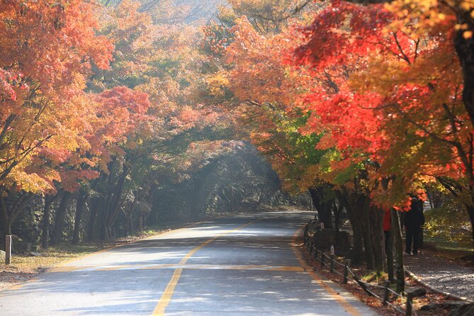 Naejangsan National Park Autumn Foliage One Day Tour from Busan - The biggest tradeoff: distance versus convenience