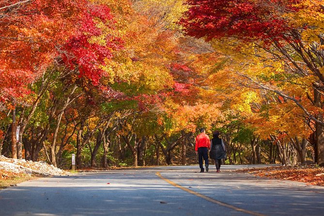 Naejangsan National Park Autumn Foliage One Day Tour from Busan - What the staff add to the day