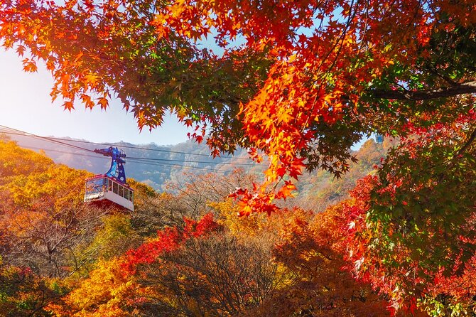 Naejangsan National Park Autumn Foliage One Day Tour from Seoul - Starting with a coach ride, breakfast, and a park briefing