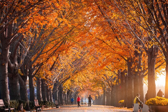 Naejangsan National Park Autumn Foliage One Day Tour from Seoul - Naejangsa Temple and its Baekje-era story