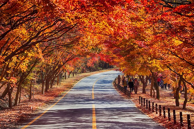 Naejangsan National Park Autumn Foliage One Day Tour from Seoul - Traffic, weather, and the real length of the day