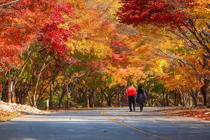 Naejangsan National Park Autumn Foliage One Day Tour from Seoul - How to prepare for the day