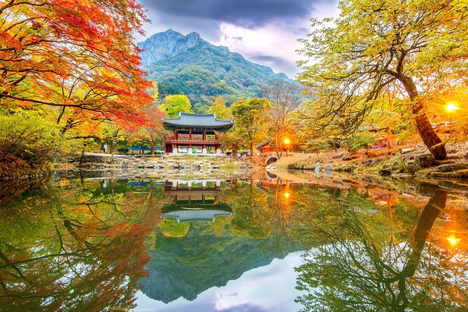 Naejangsan National Park Autumn Foliage One Day Tour from Seoul - Five hours among Naejangsan’s autumn paths