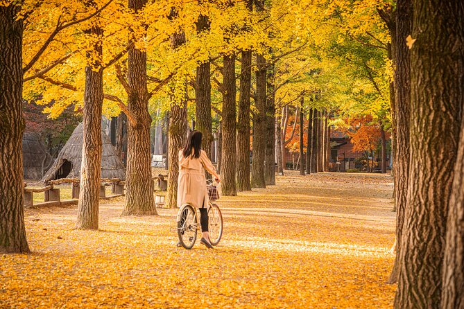 Nami Island and Begonia Bird Park Tour from Seoul (opt Railbike) - Why this makes a good Seoul escape
