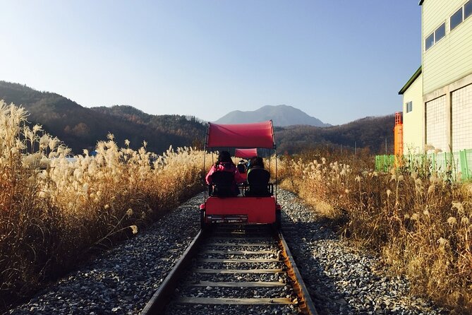 Nami Island and Begonia Bird Park Tour from Seoul (opt Railbike) - Nami Island is the day’s main prize