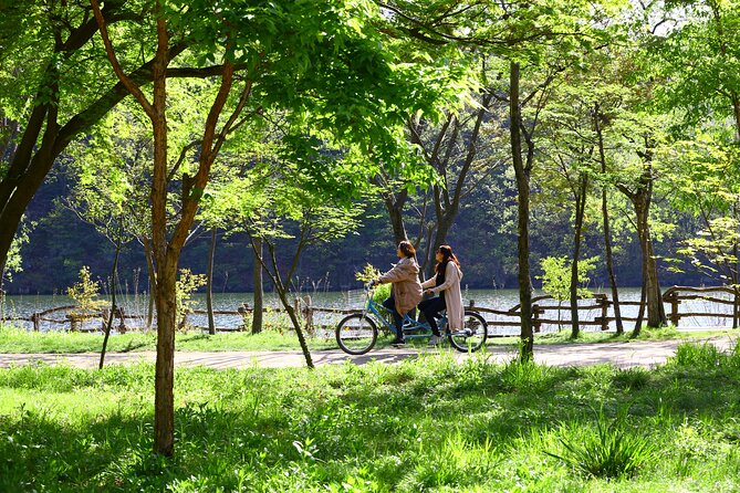 Nami Island and Petite France & Italian Village Day Trip from Seoul - Four hours to explore Nami Island
