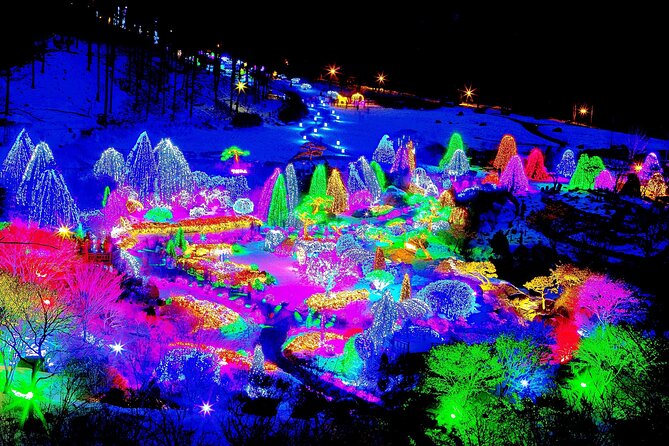 Nami Island, Cable Car, Garden of Morning Calm Panoramic Tour - Who will get the most from this tour