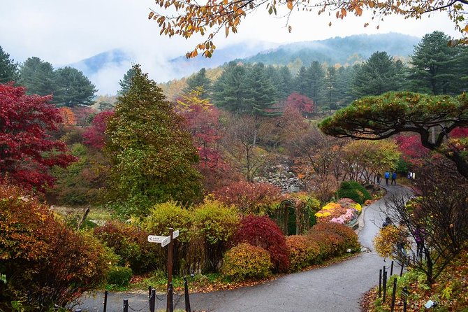 Nami Island from Seoul: Petit France and Garden of Morning Calm - Garden of Morning Calm: one hour of Korean garden design