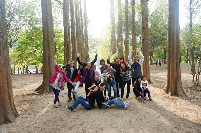 Nami Island from Seoul: Petit France and Garden of Morning Calm - Nami Island: the main event at two and a half hours