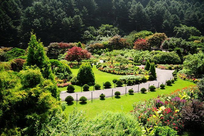 Nami Island & Garden of Morning Calm & Gangchon Railbike Tour - Who will get the most from this tour?