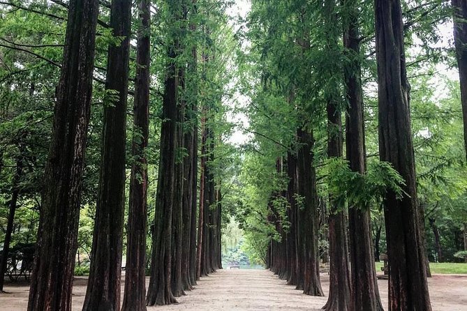 Nami Island & Nearby Attractions : Charter Van Tour With Driver - Driver service, language, and communication