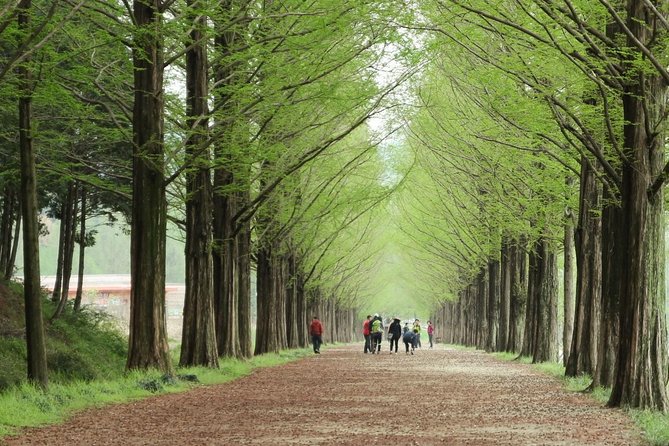 Nami Island& Petite France& Garden of Morning Calm& Italian Village One-Day Tour - Italian Village adds another themed stop