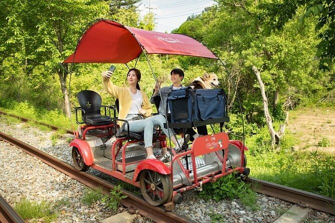 Nami Island & Petite France & Italian Village & Gangchon Rail Bike One-Day Tour - Gangchon Rail Park: the day’s most memorable activity