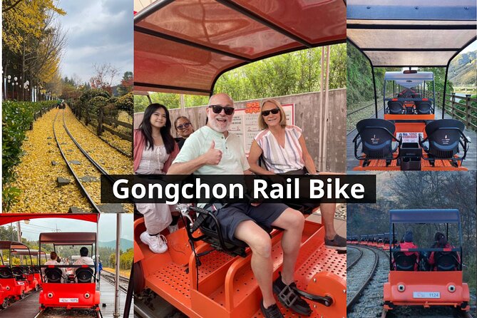 Nami Island & Petite France & Italian Village & Gangchon Rail Bike One-Day Tour - Nami Island: tree-lined paths and a busy island atmosphere