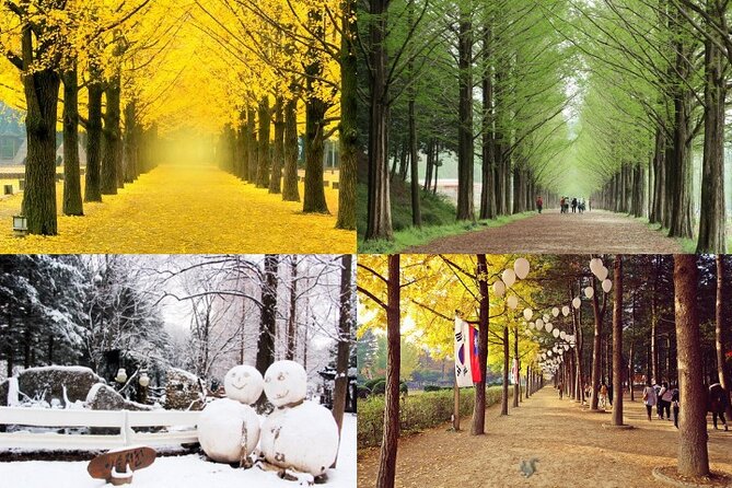 Nami Island & Petite France with Italian Village One-Day Tour - Why this makes a useful day away from Seoul