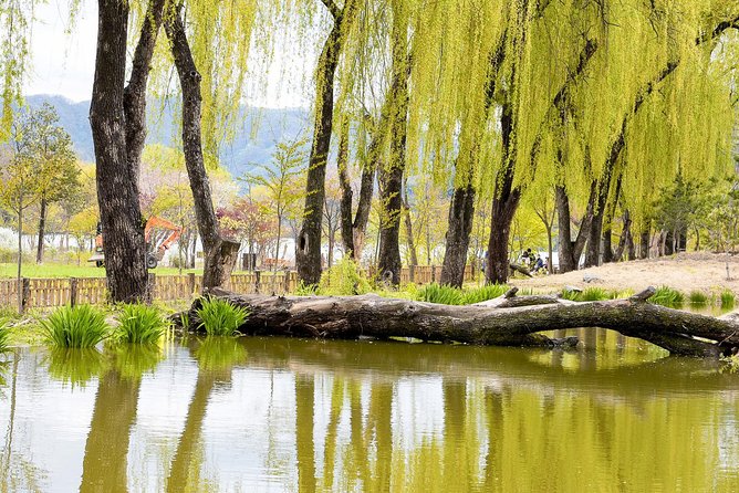 Nami Island & Petite France with Italian Village One-Day Tour - What the $58.10 price really covers