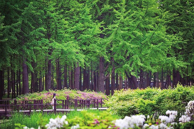 Nami Island & Petite France with Italian Village One-Day Tour - Petite France: one hour among French-style buildings