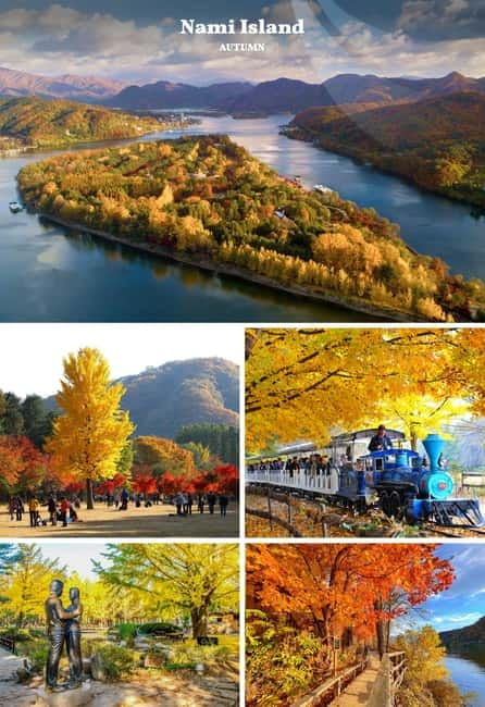 Nami Island, Railbike & Alpaca Garden Day Trip from Seoul - What the $78 price covers