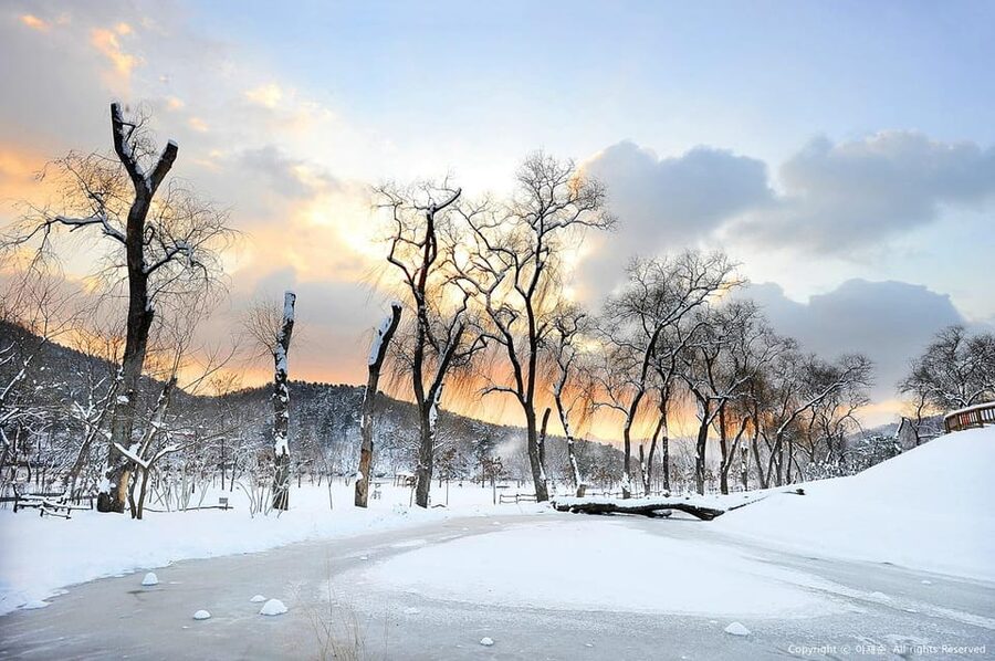 Nami Island, Railbike & Alpaca Garden Day Trip from Seoul - Who should book this outing