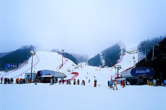Nami Island + Ski Tour - Why this Seoul winter day trip works