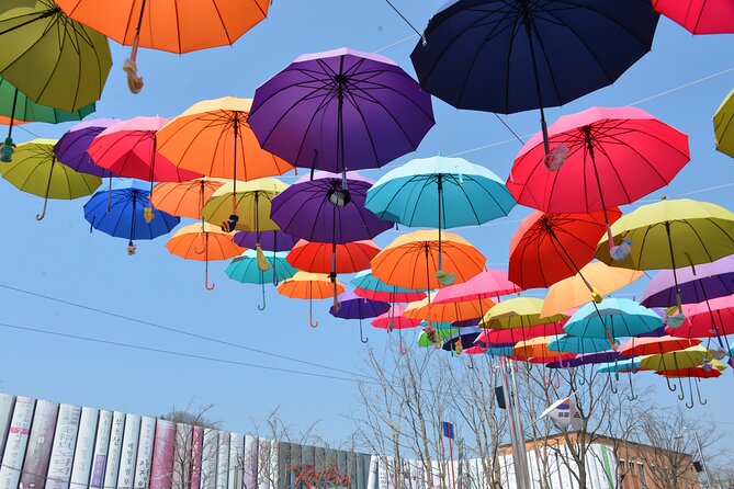 Nami Island Trip with Petite France & Italian Village and Gangchon Rail Bike - Pedaling the Gangchon Rail Bike route