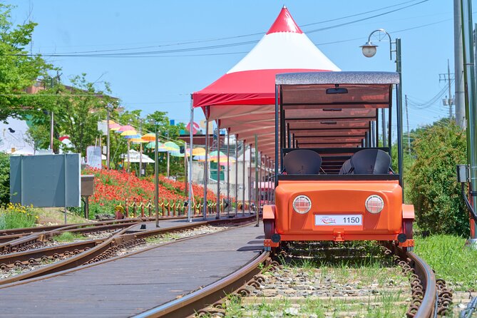 Nami Island Trip with Petite France & Italian Village and Gangchon Rail Bike - Who will enjoy this tour most