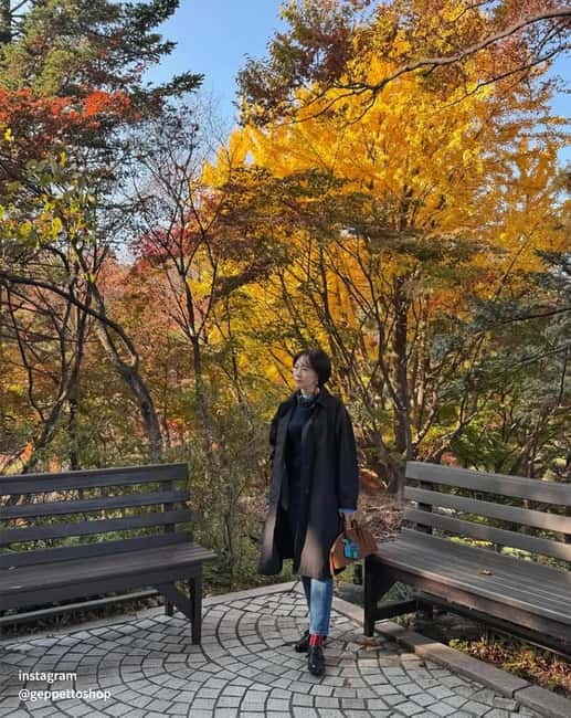Nami & Maple Road & Theatre des Lumieres Day Tour from Seoul - What the $56 price really covers