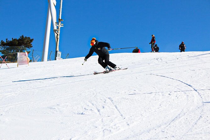 [OFFICIAL] Eden Valley Resort Winter Ski Day Tour from Busan - From Busan to snow on Sinbulsan Mountain
