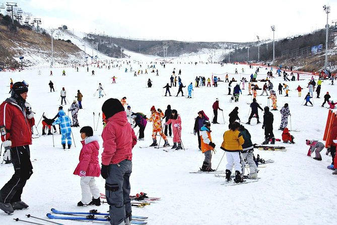 [OFFICIAL] Eden Valley Resort Winter Ski Day Tour from Busan - Families, children, and physical demands