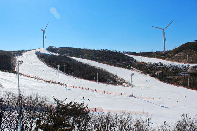 [OFFICIAL] Eden Valley Resort Winter Ski Day Tour from Busan - Why the beginner slope changes the decision