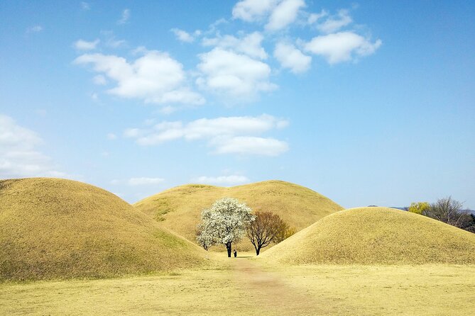 Old Korea Thousand History Tour of Gyeongju from Busan - What $64 includes, and what it does not