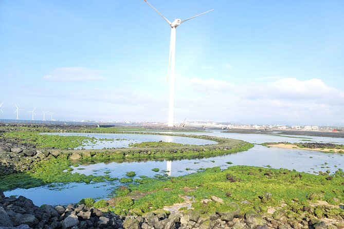 One day private Customized jeju tour - All Area in jeju island - Seopjikoji, Seong-eup, and Sanbangsan