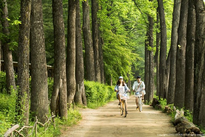 One Day Private Tour-Nami, Petite and Garden of Morning Calm - What a private minivan changes