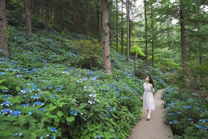 One Day Private Tour-Nami, Petite and Garden of Morning Calm - The guide can make the long day worthwhile