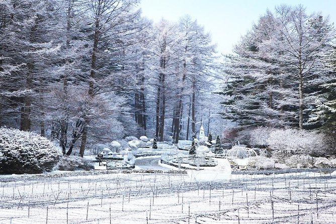 One Day Private Tour-Nami, Petite and Garden of Morning Calm - Is $309 per person good value?