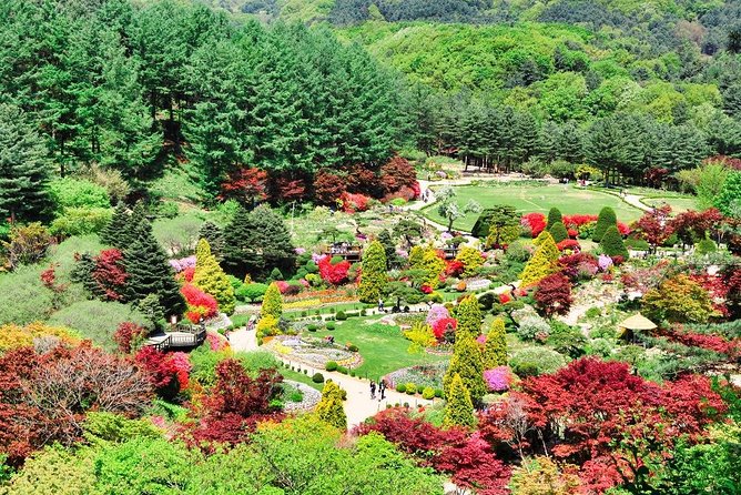 One Day Private Tour-Nami, Petite and Garden of Morning Calm - Petite France: a one-hour taste of France in Korea